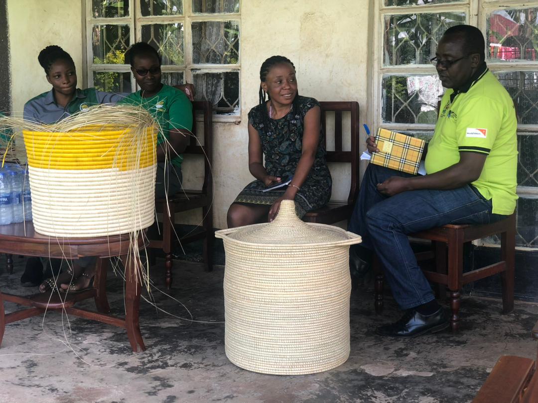 Green Shero Entrepreneurship Academy — Green Shero impact program