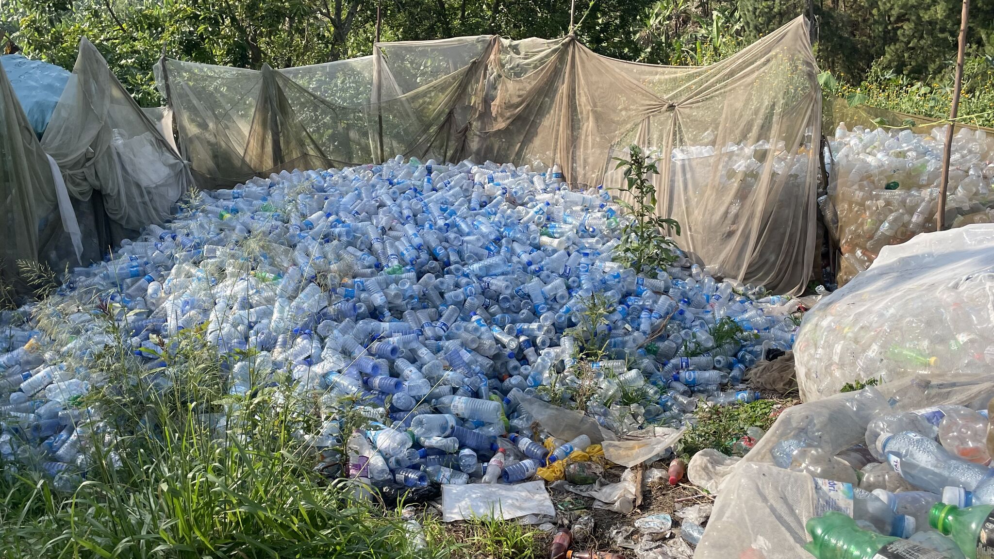 Plastic bottles collected for recycling — Green Shero
